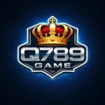 Q789 Game